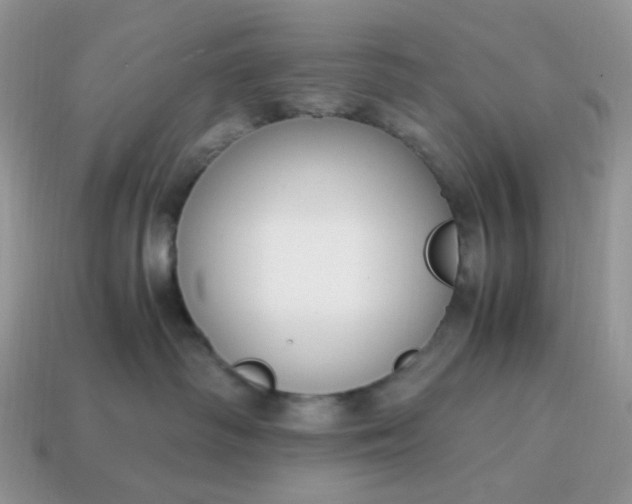 X0000114600334200911091323