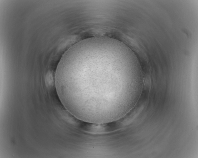 X0000114600335200911091323