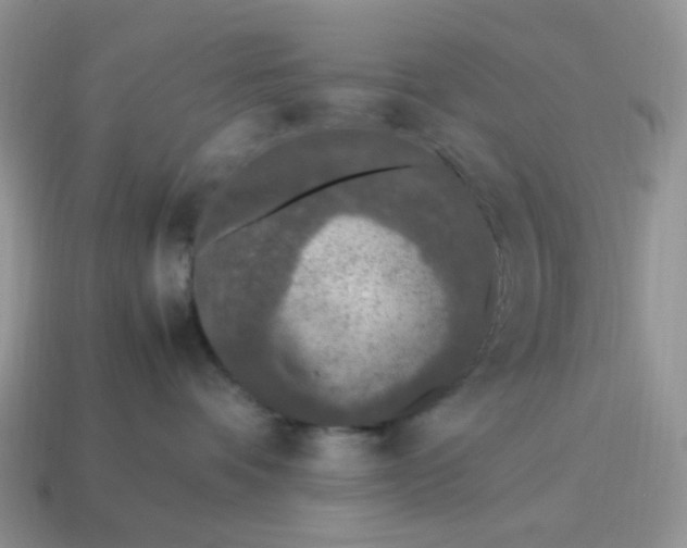 X0000114600336200911091322