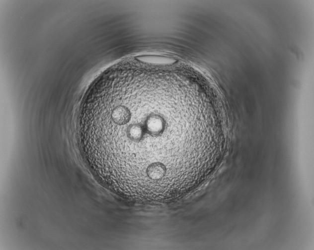 X0000114600337200911091322