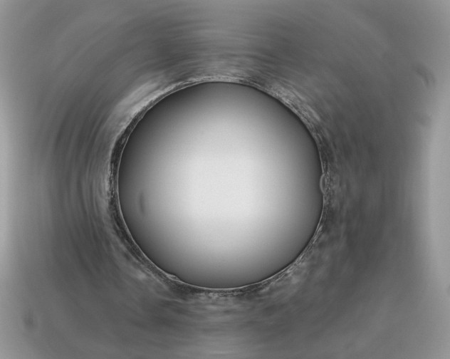 X0000114600338200911091322