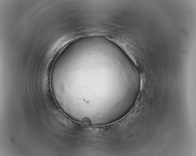 X0000114600339200911091322