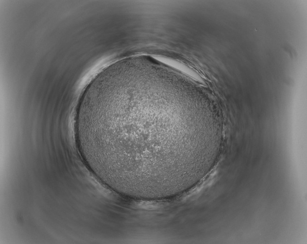 X0000114600341200911091322