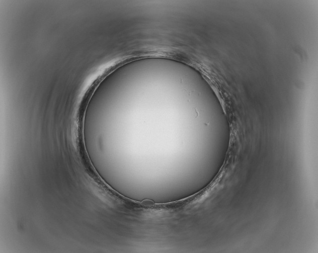 X0000114600342200911091322