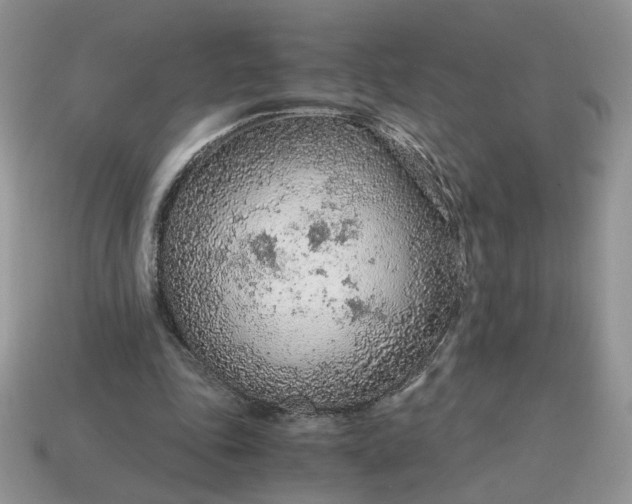 X0000114600343200911091322