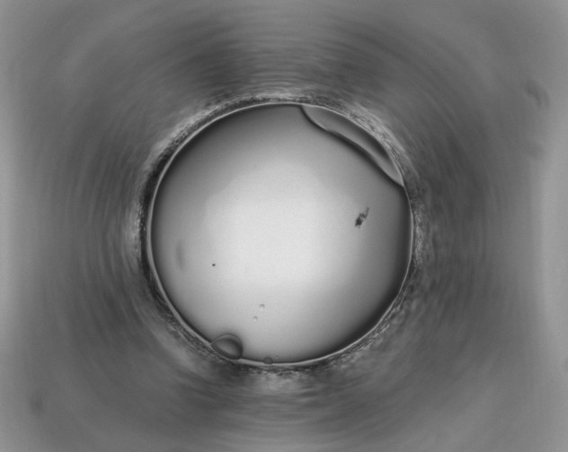 X0000114600346200911091322