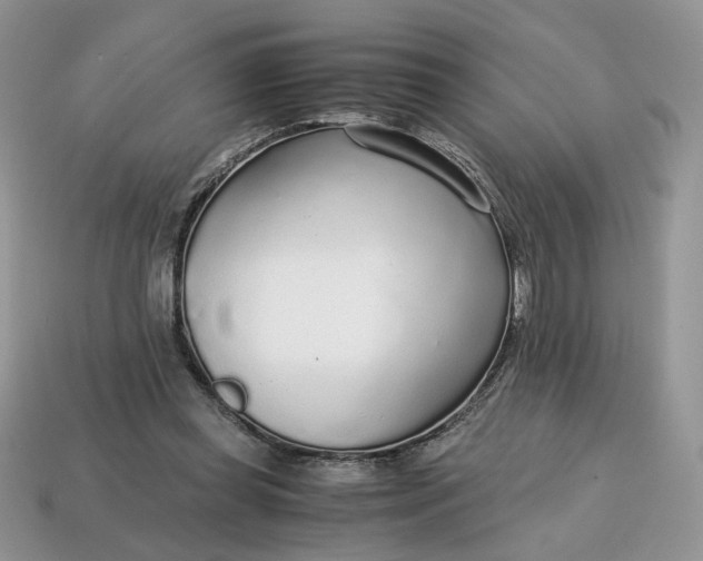 X0000114600349200911091322