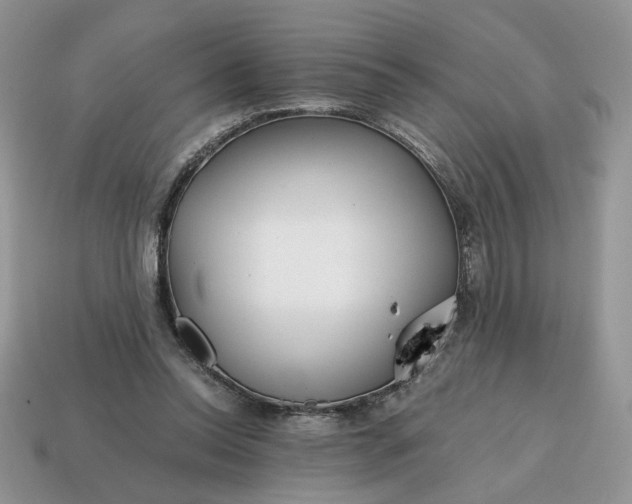 X0000114600350200911091322