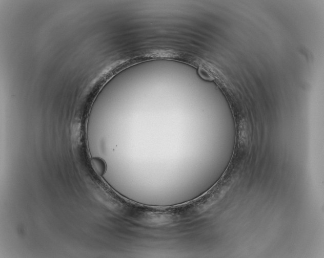 X0000114600351200911091322