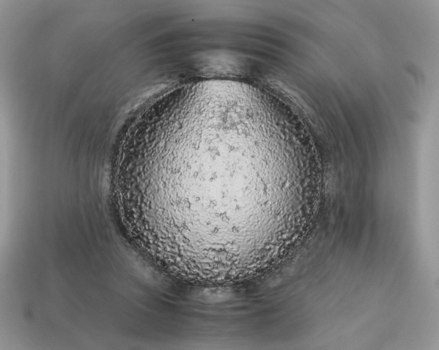 X0000114600353200911091322