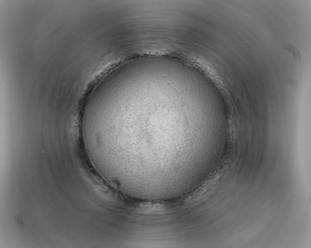 X0000114600354200911091322