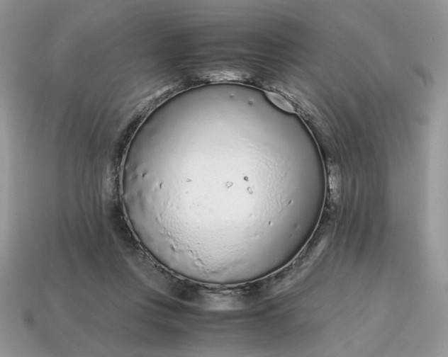 X0000114600359200911091322