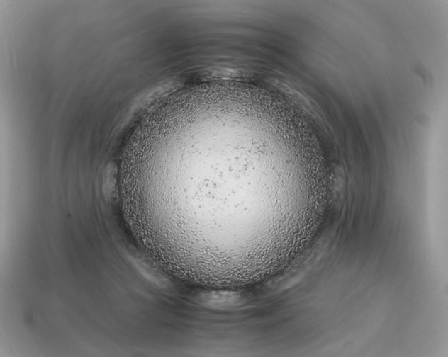 X0000114600361200911091322