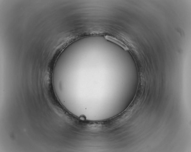 X0000114600362200911091322