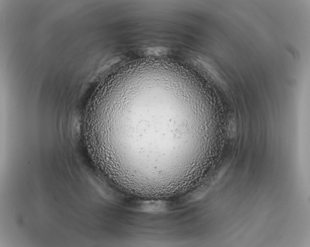 X0000114600363200911091322