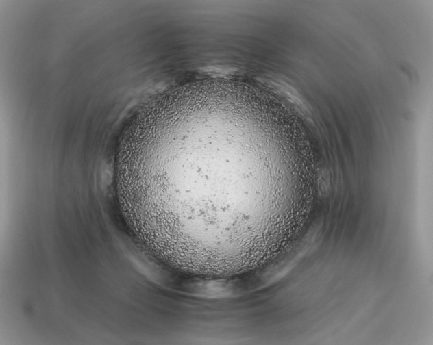 X0000114600365200911091322