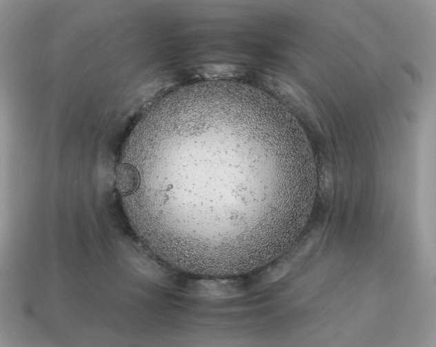 X0000114600367200911091322