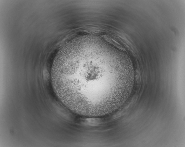 X0000114600371200911091322