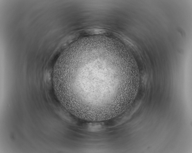 X0000114600373200911091322