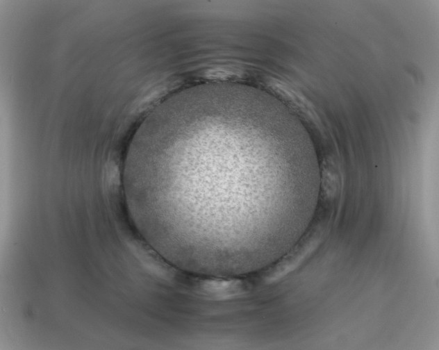 X0000114600375200911091322