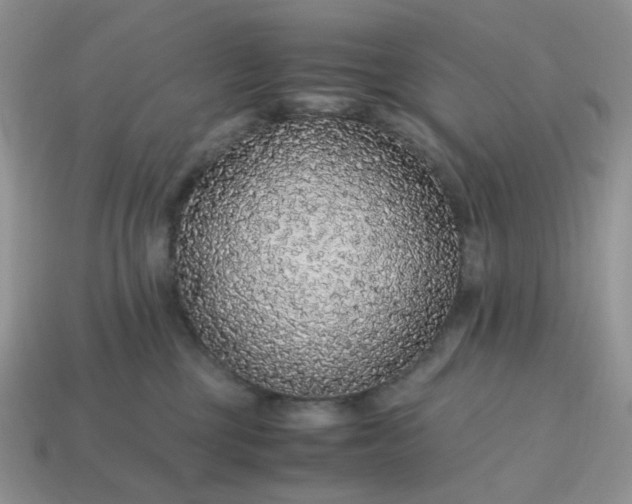 X0000114600377200911091322