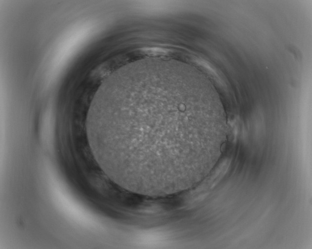 X0000114600381200911091322