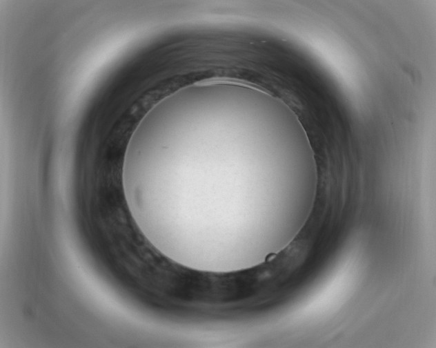 X0000114600383200911091322