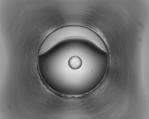 X0000114600385200911091322