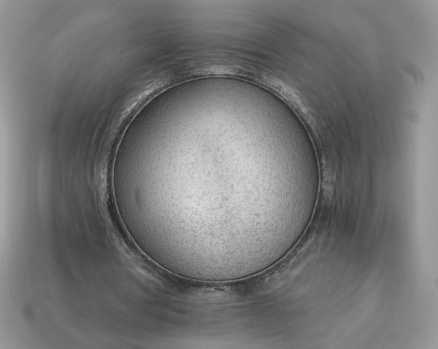 X0000114600386200911091322