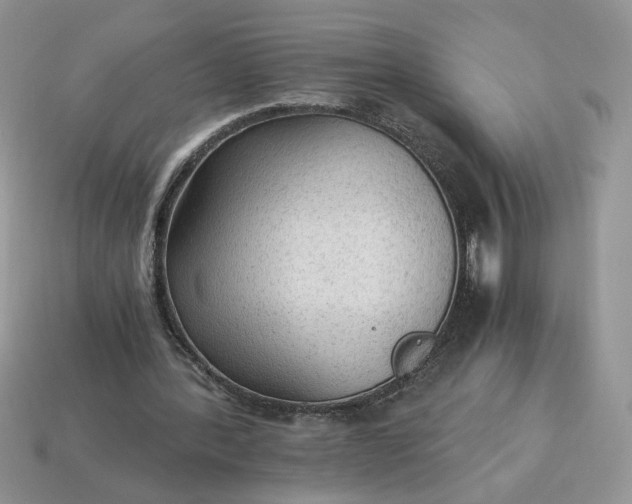 X0000114600388200911091322