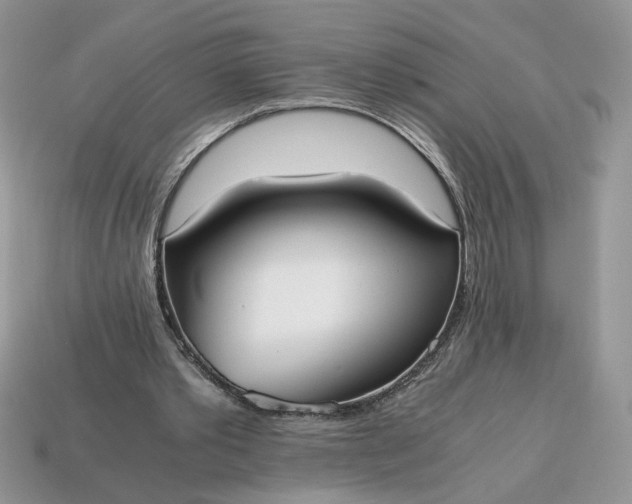 X0000114600389200911091322