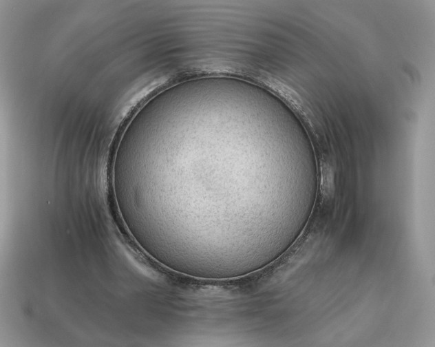 X0000114600390200911091322