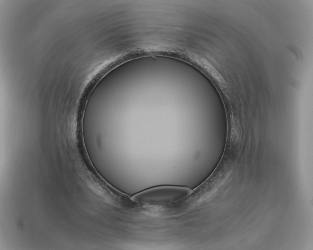 X0000114600391200911091322