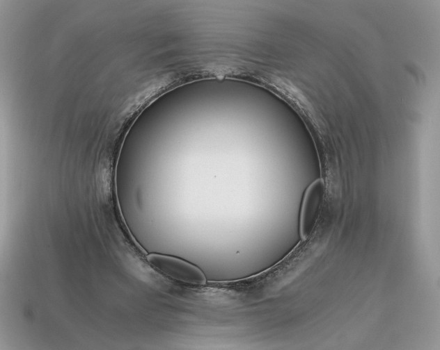 X0000114600393200911091322