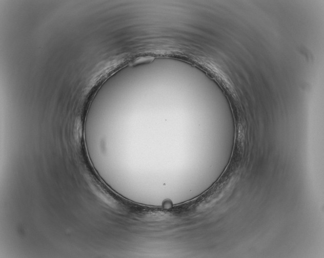 X0000114600397200911091322