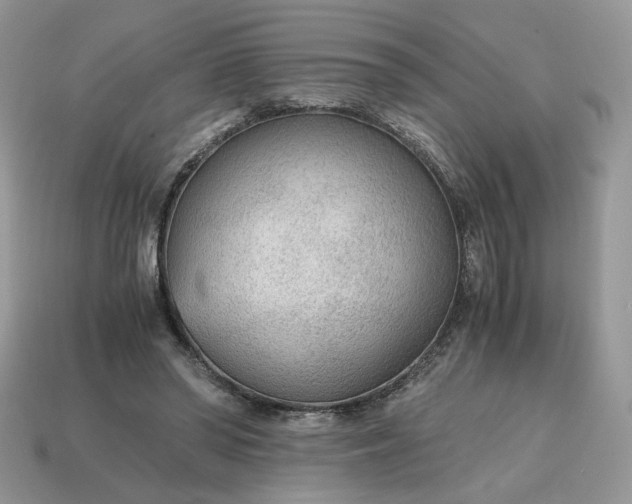 X0000114600398200911091322