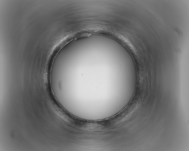 X0000114600399200911091322