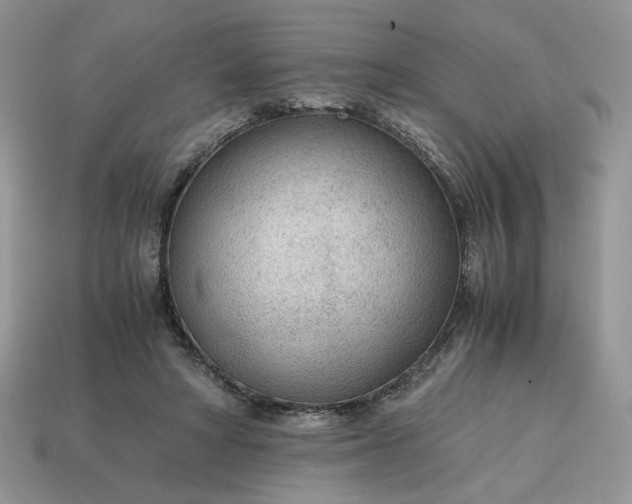 X0000114600402200911091321