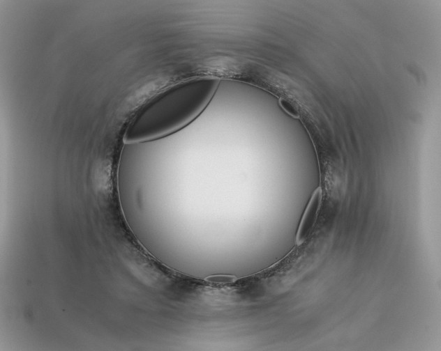 X0000114600403200911091321