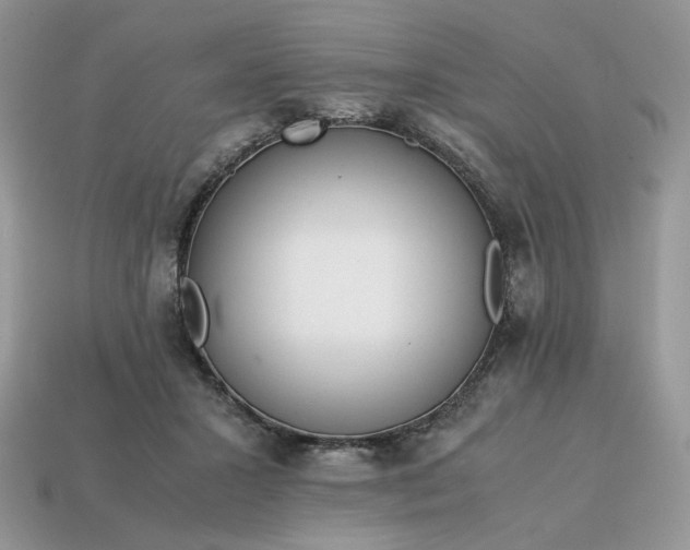 X0000114600407200911091321