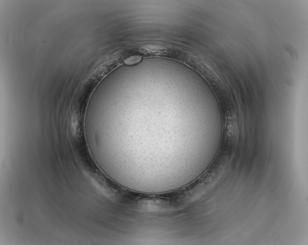 X0000114600408200911091321