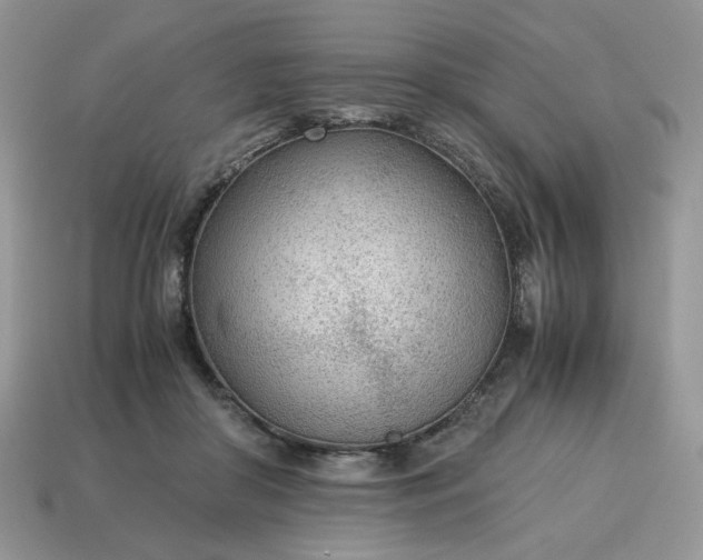 X0000114600410200911091321