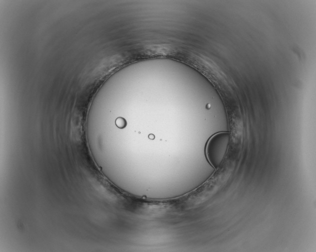 X0000114600414200911091321