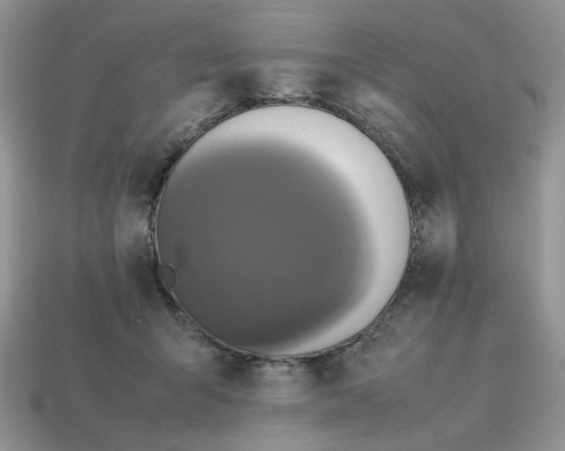 X0000114600415200911091321