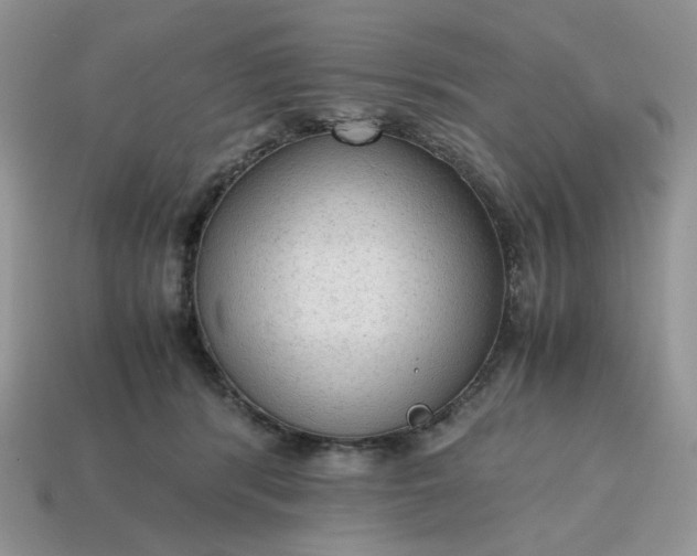 X0000114600416200911091321