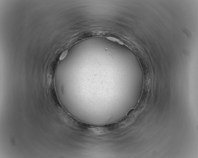 X0000114600417200911091321