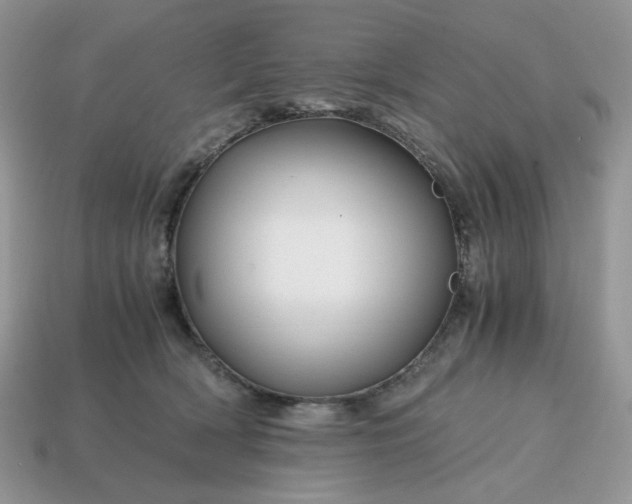 X0000114600418200911091321