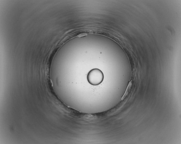 X0000114600421200911091321