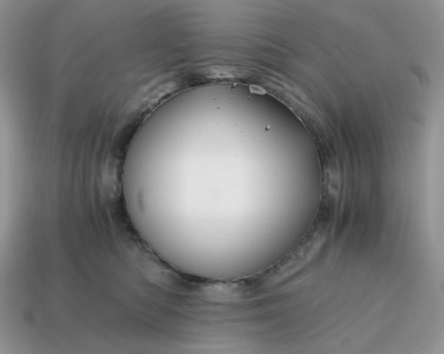 X0000114600422200911091321