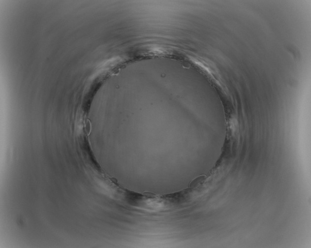 X0000114600423200911091321